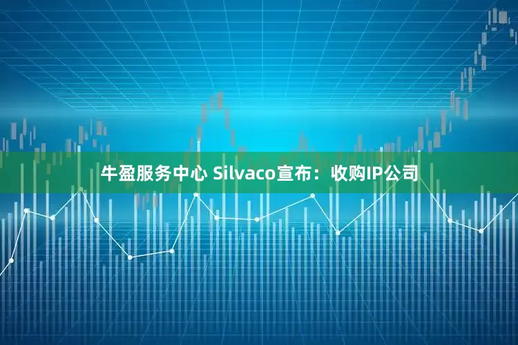 牛盈服务中心 Silvaco宣布：收购IP公司